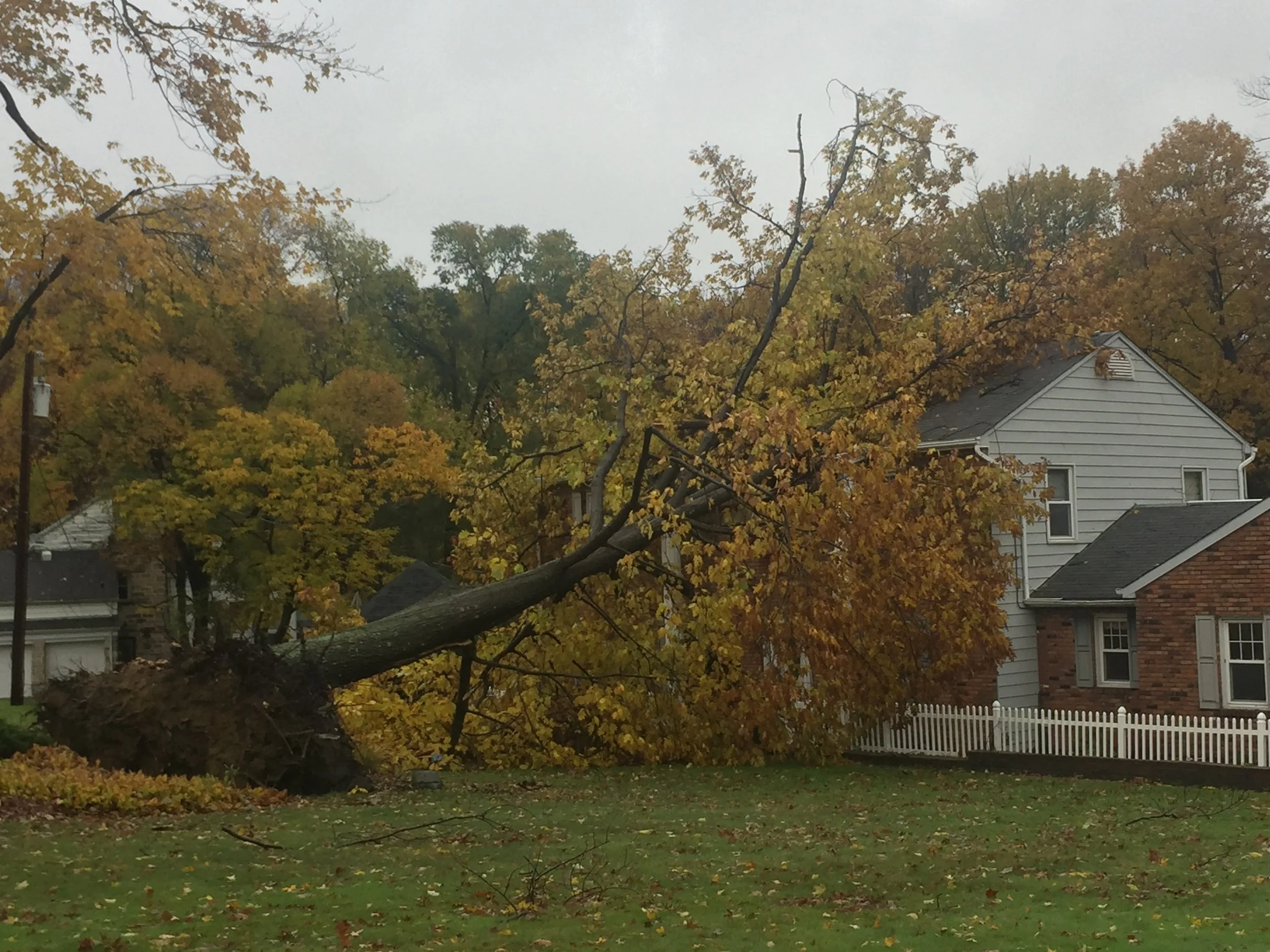 Residential Structural Damage Restoration