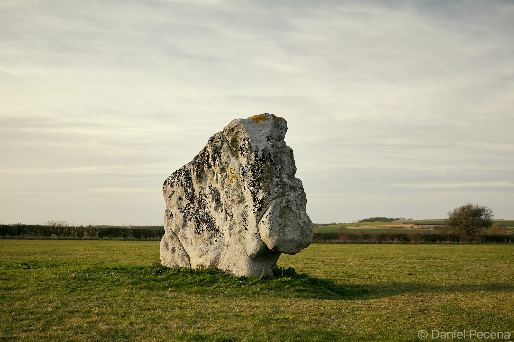 The Longstones, Beckhampton Avenue near Avebury, Wiltshire