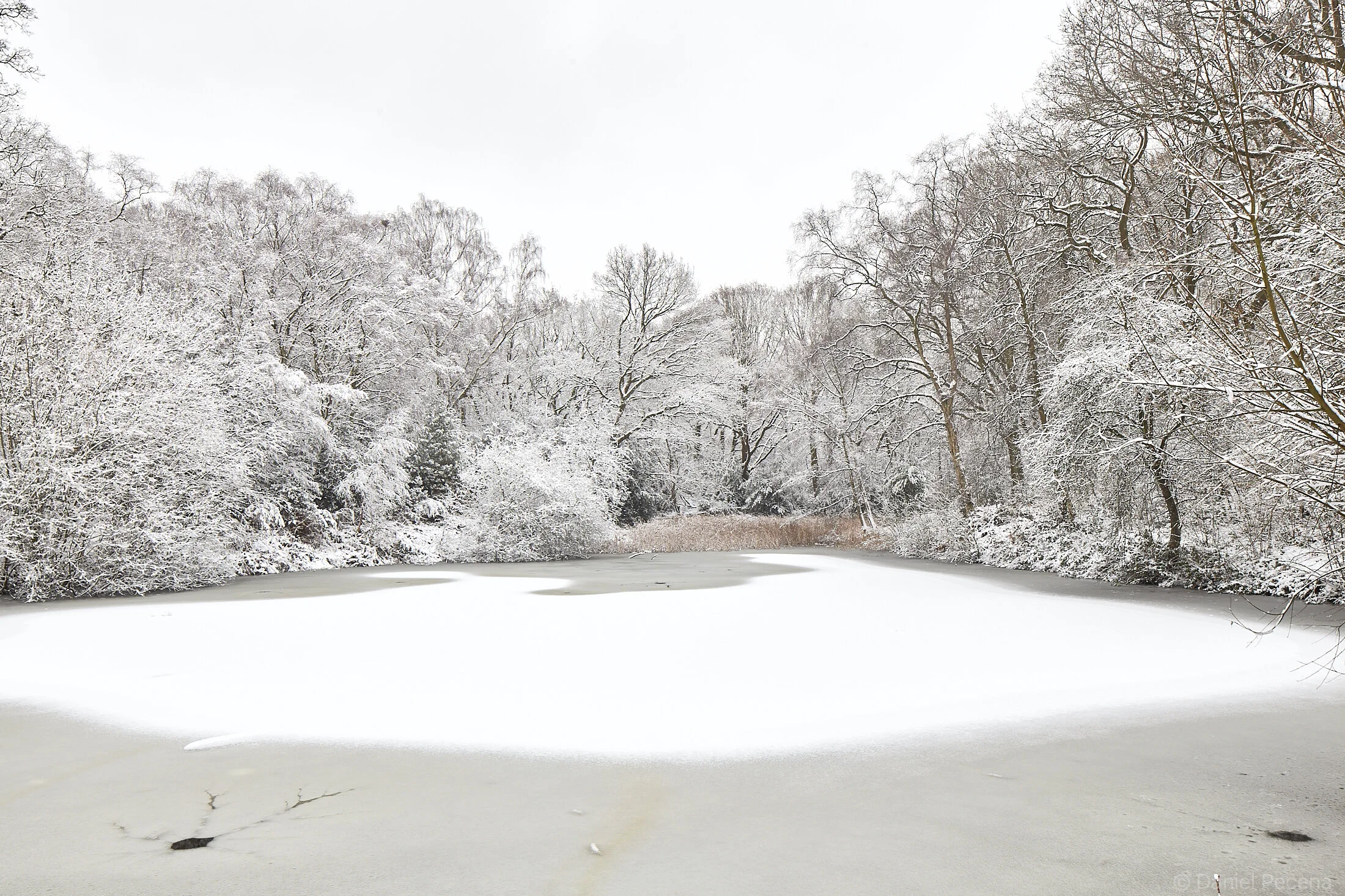 Hampstead Heath_London_The Leg of Mutton pond.jpg