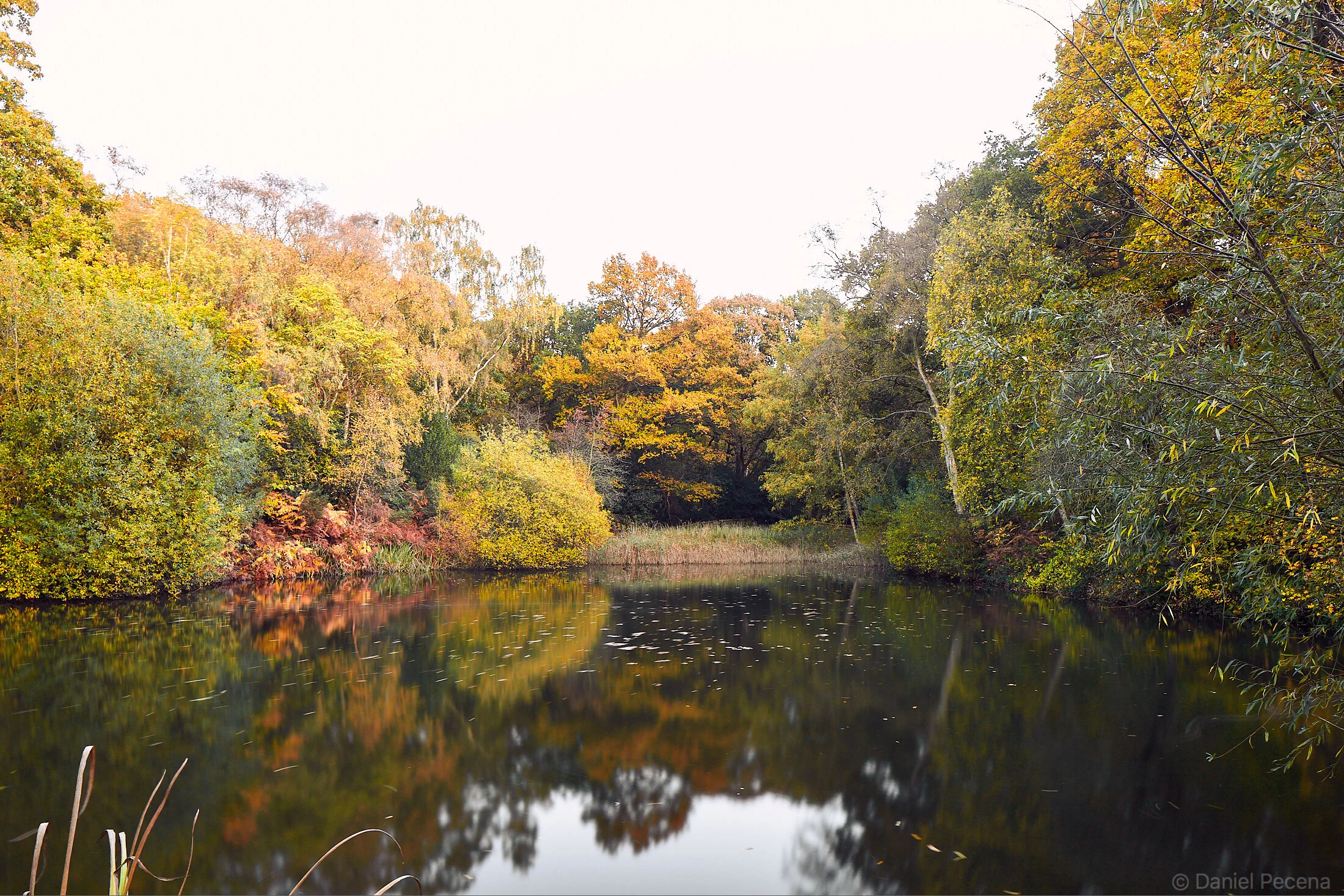 Hampstead Heath_London_The Leg of Mutton pond.jpg