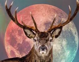 Not Technically-But Close Enough :) Buck Full Moon Yoga Nidra w/Laura Mulrenin