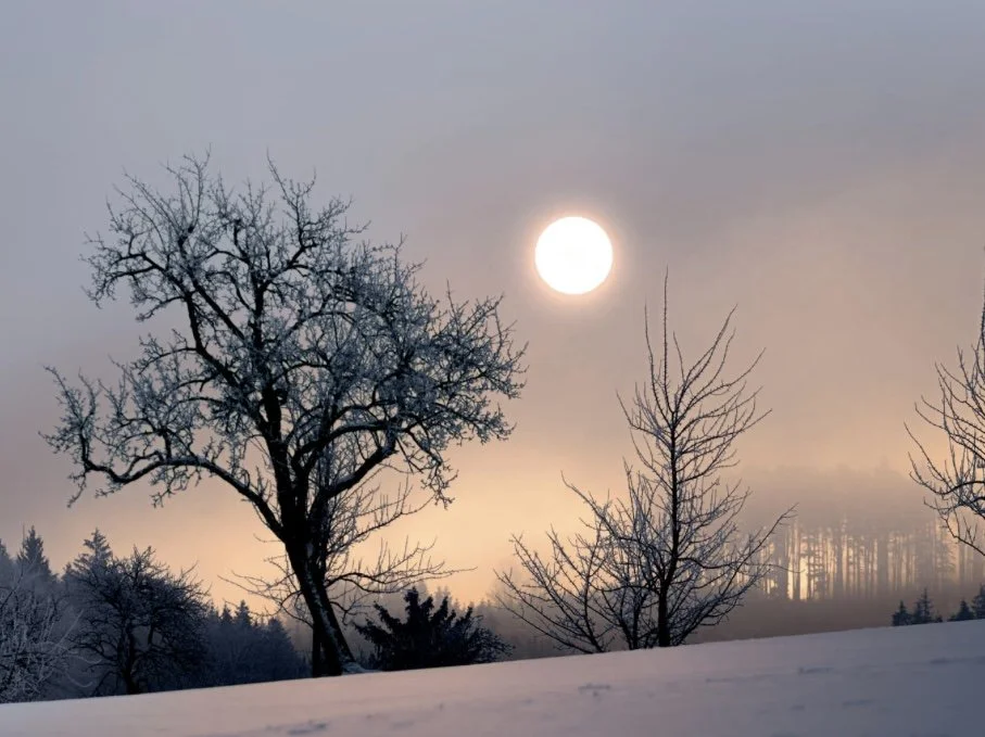 Winter Solstice Sound Healing and Yoga Nidra w/Laura Mulrenin