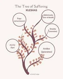The Klesha’s: The Fundamental Cause of Suffering w/Kate Lyles
