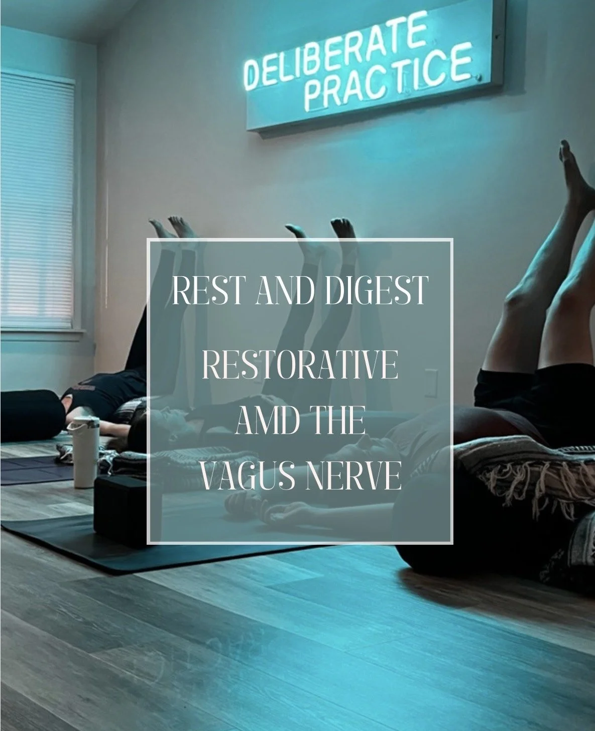 Rest &amp; Digest: Restorative Yoga and the Vagus Nerve w/Kate and Anne