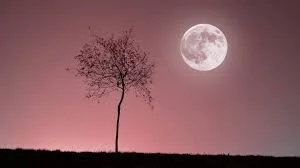 Full Pink Moon Yoga Nidra and Sound Healing w/Laura Mulrenin