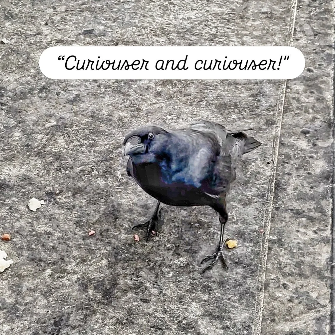 &ldquo;For, you see, so many out-of-the-way things had happened lately, that Alice had begun to think that very few things indeed were really impossible.&rdquo; - Alice&rsquo;s Adventures in Wonderland&nbsp;and Through the Looking, Lewis Carroll

Jus