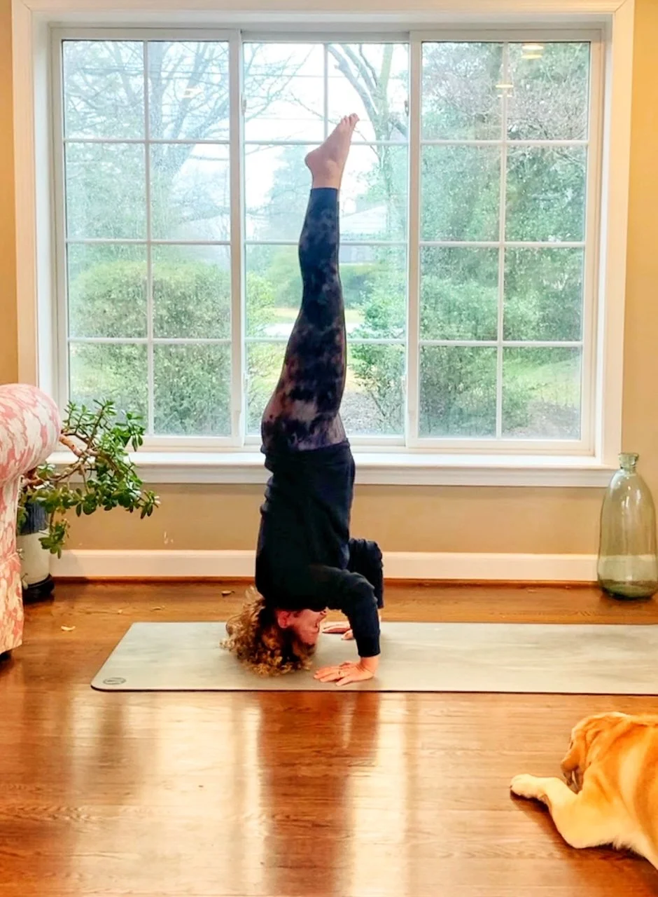 Peak Pose Pop Up (Sirsasana) with Dorian Jacobson
