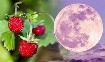 Full Strawberry Moon Yoga Nidra and Sound w/Laura Mulrenin