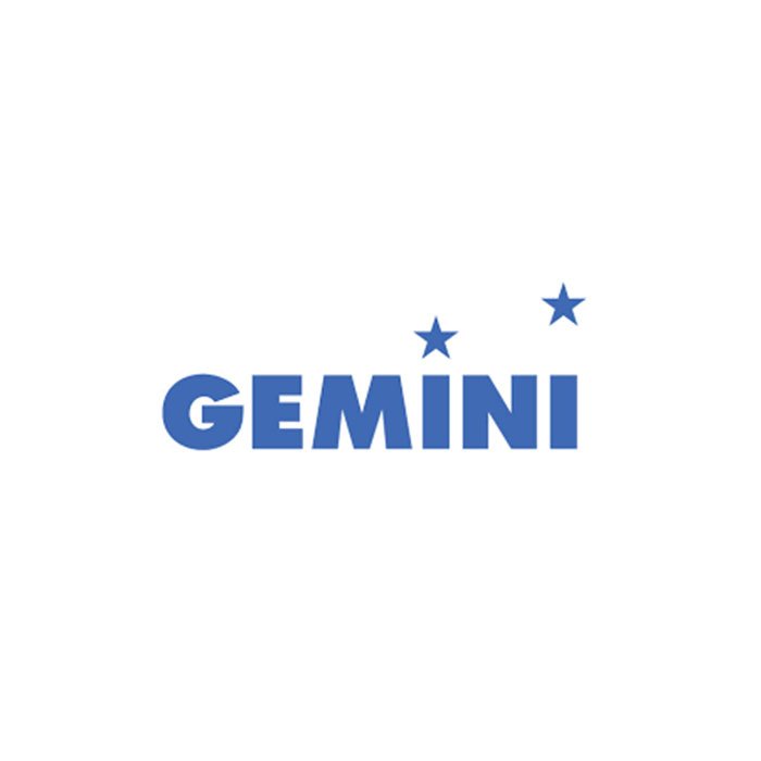 Gemini.jpg