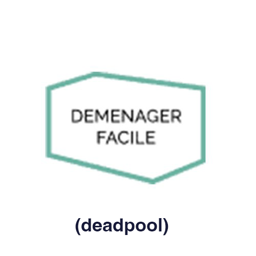 demenager-facile-logo-dead.png