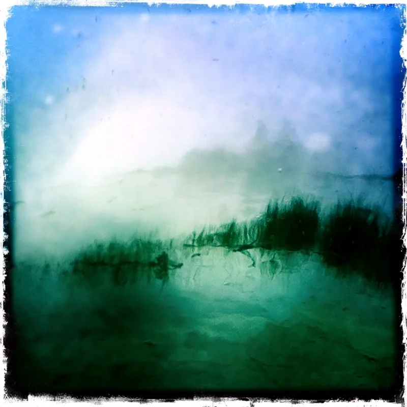 SEAGRASS
