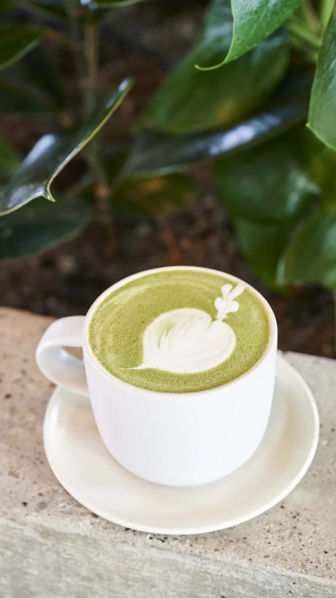 LA BOSCO BAKERY & CAFE