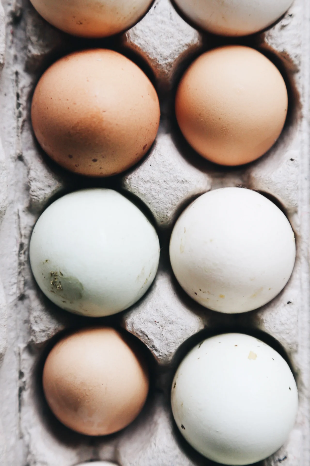 food (1 of 4).jpg