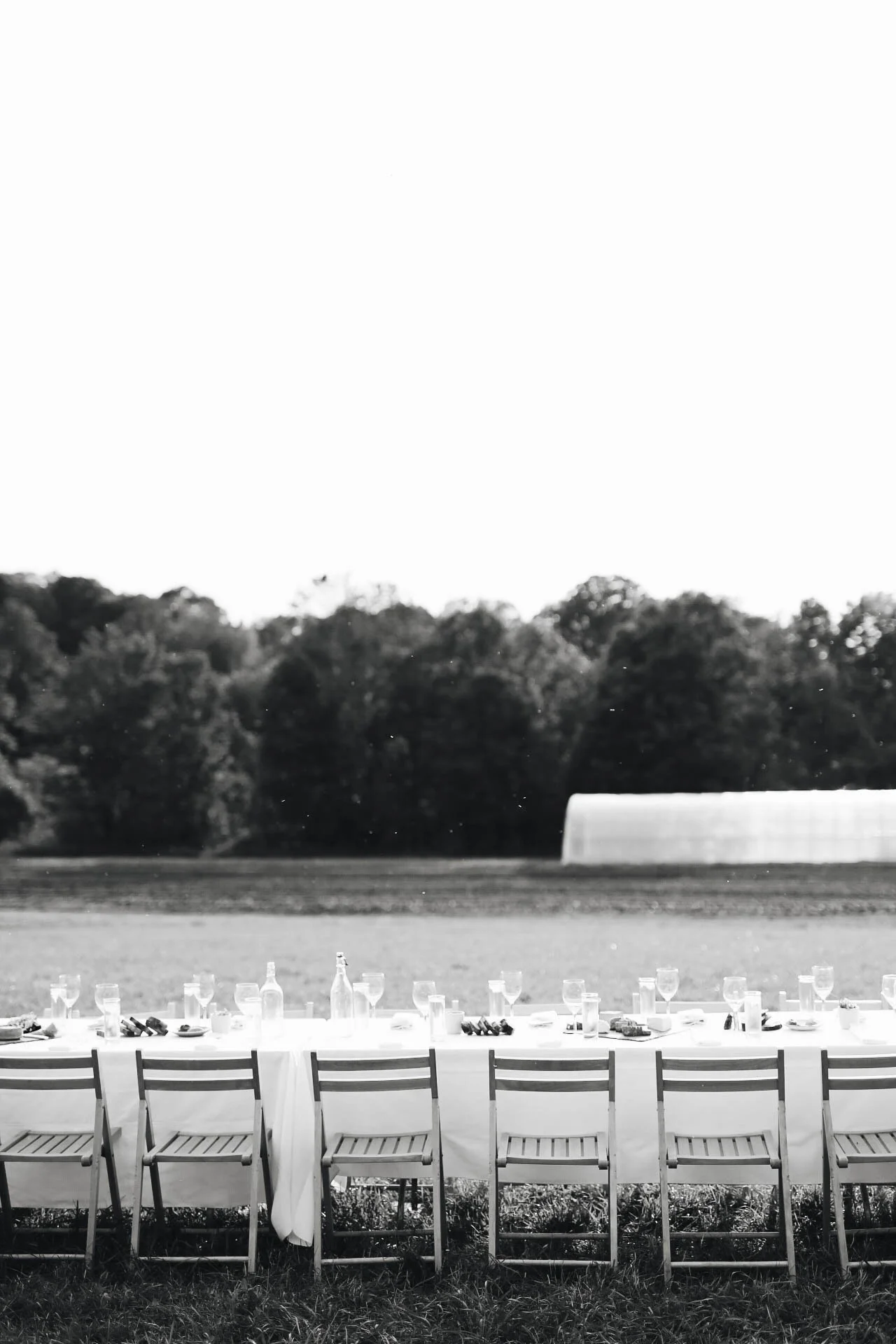 untitled (13 of 39).jpg
