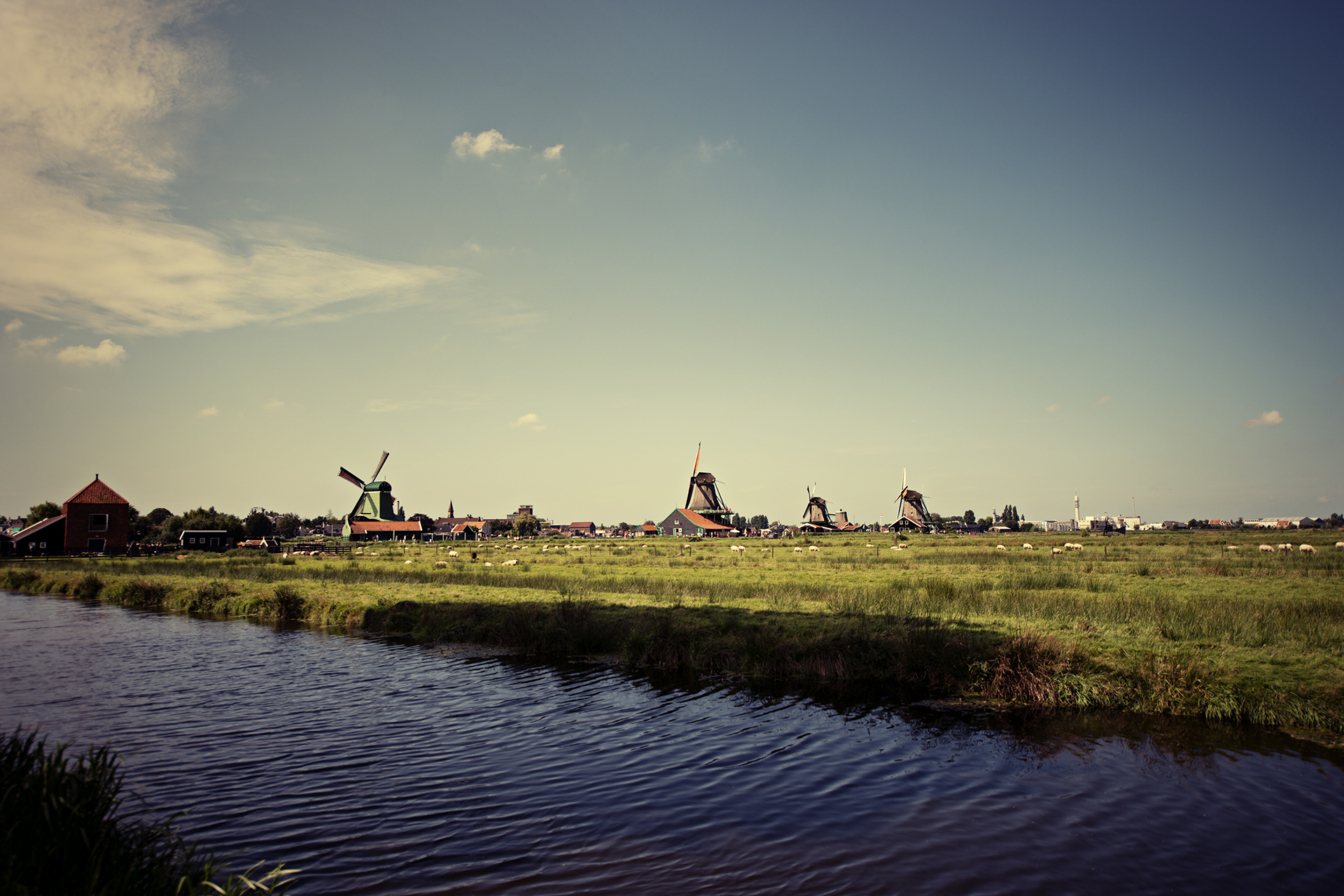 DSC_1663.jpg