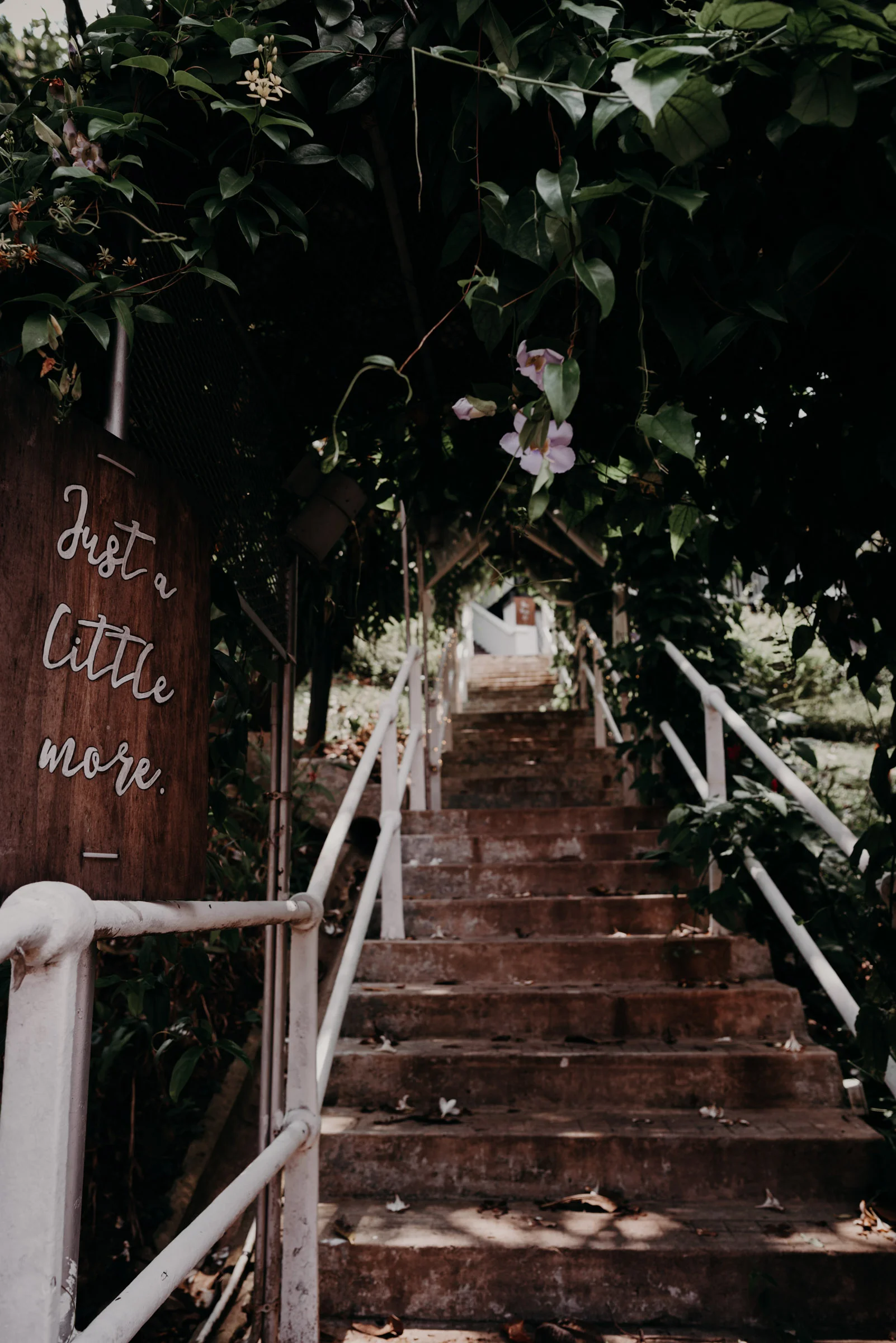 Actual Day Wedding at Lewin Terrace-61.jpg