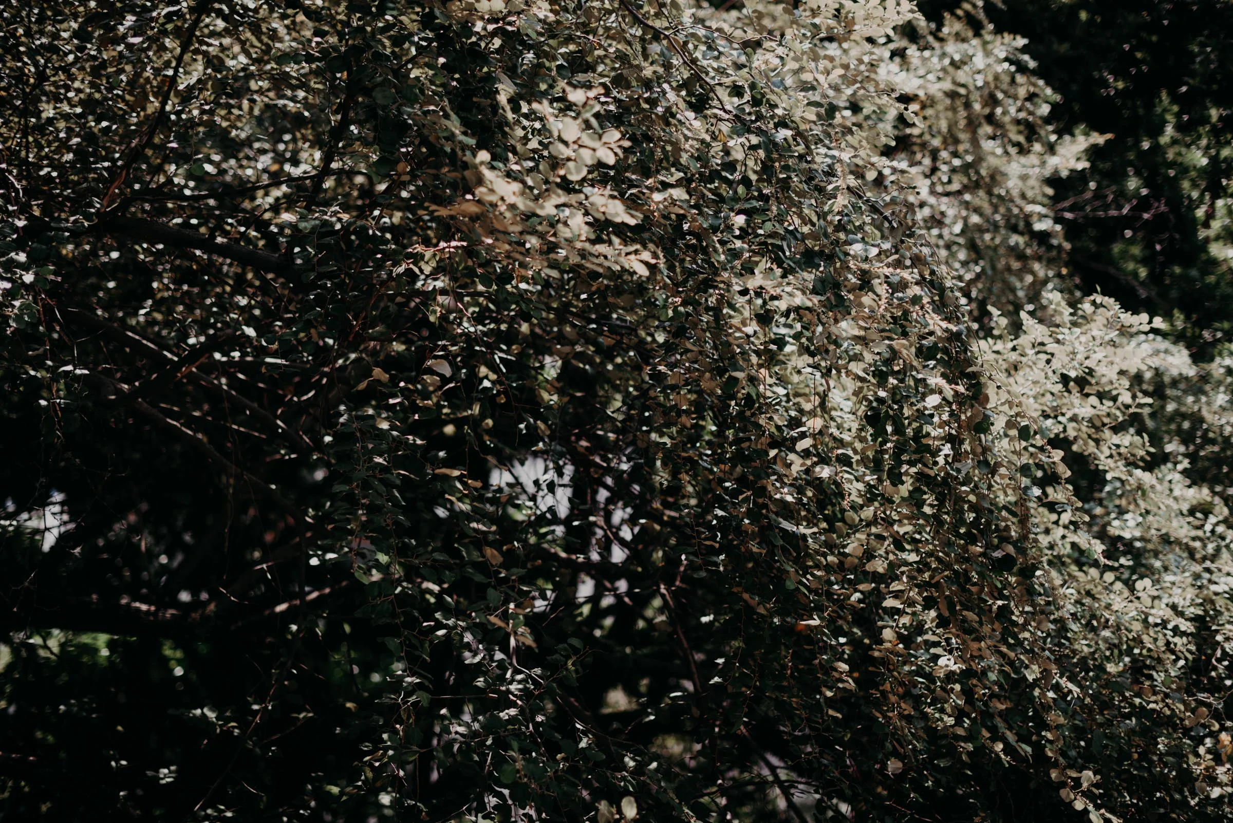 Actual Day Wedding at Lewin Terrace-80.jpg