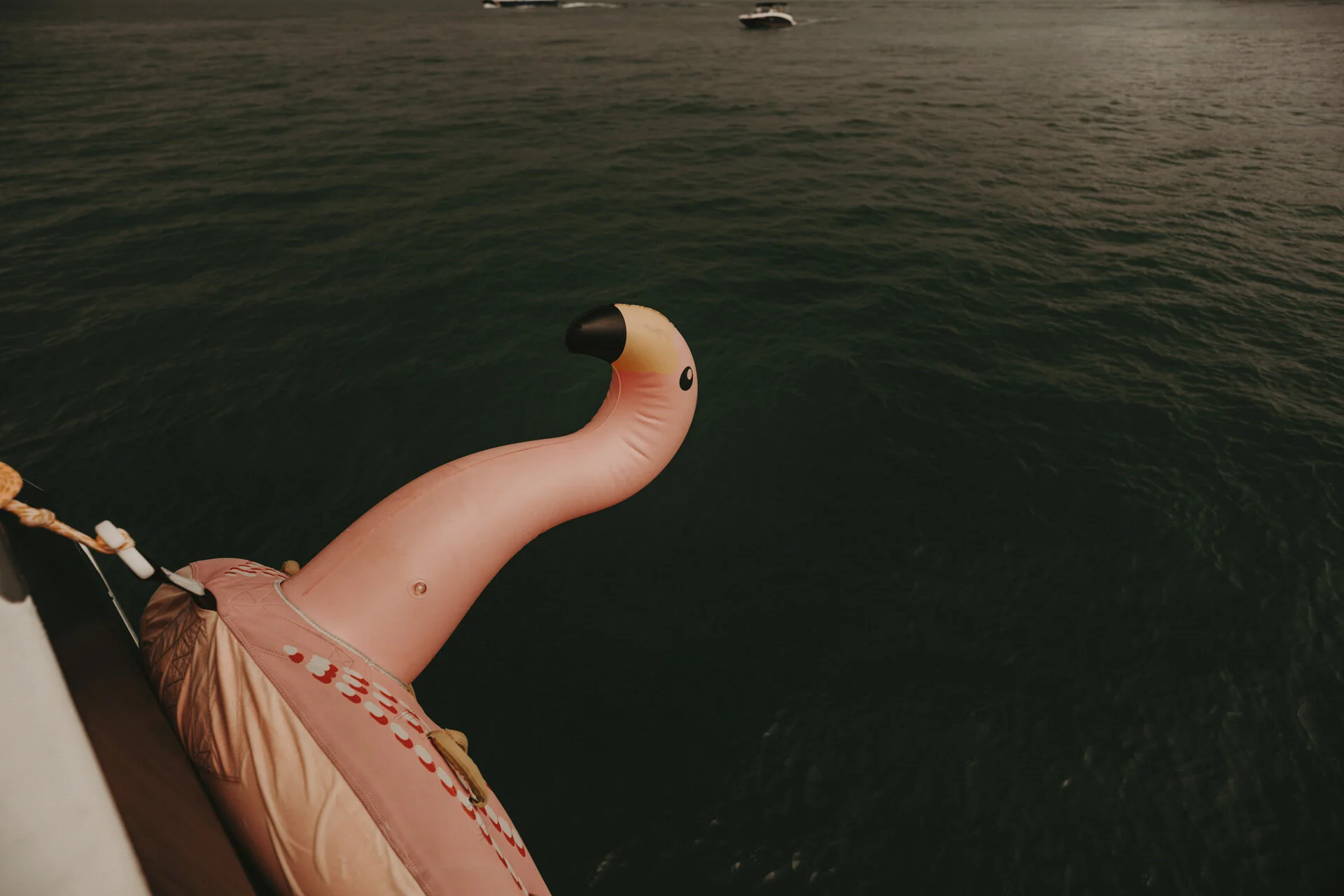 Lazarus Island Wedding-113.jpg
