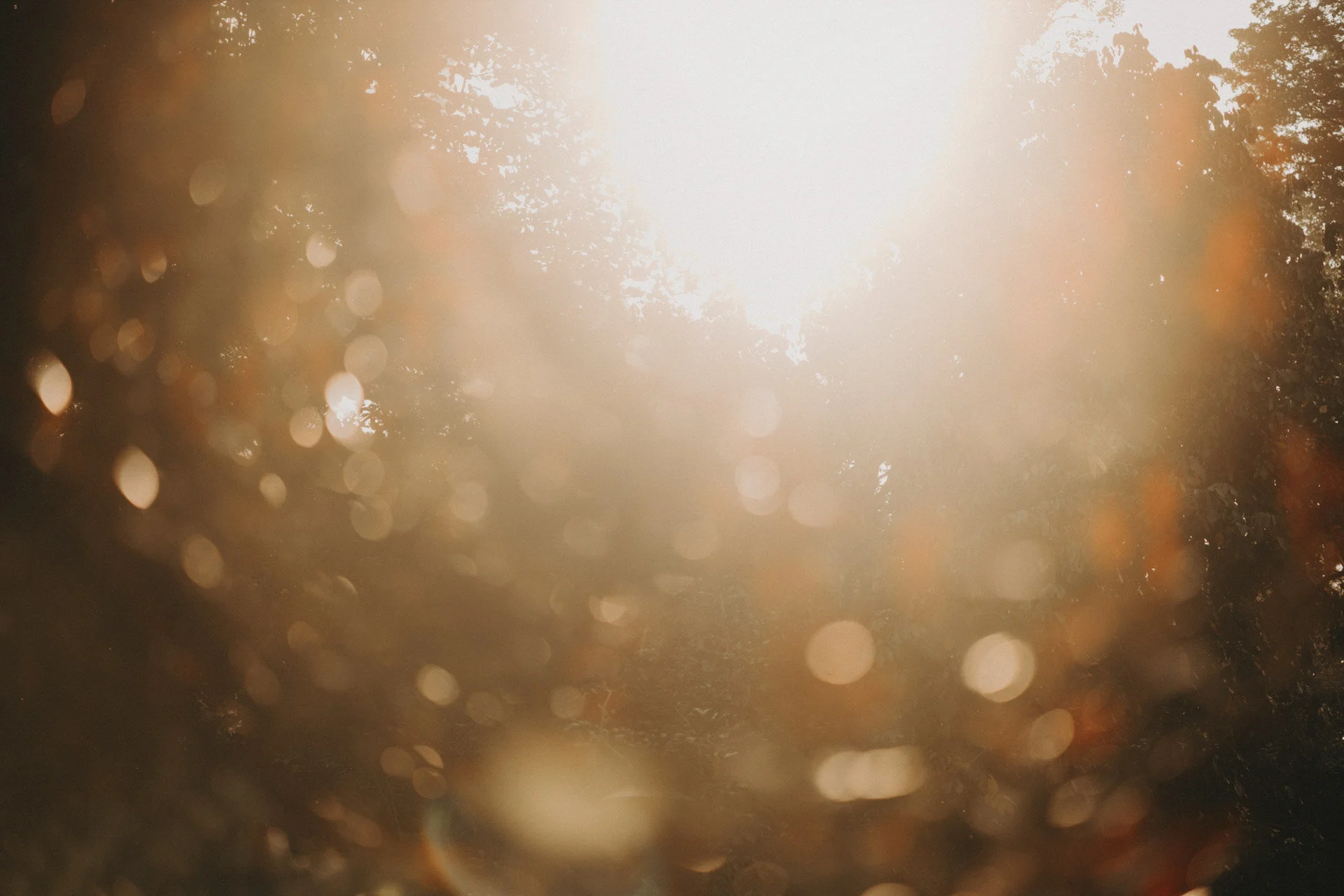 Botanico Wedding-1.jpg