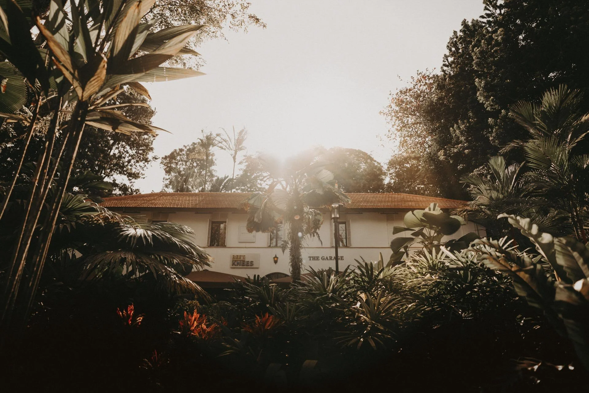 Botanico Wedding-2.jpg