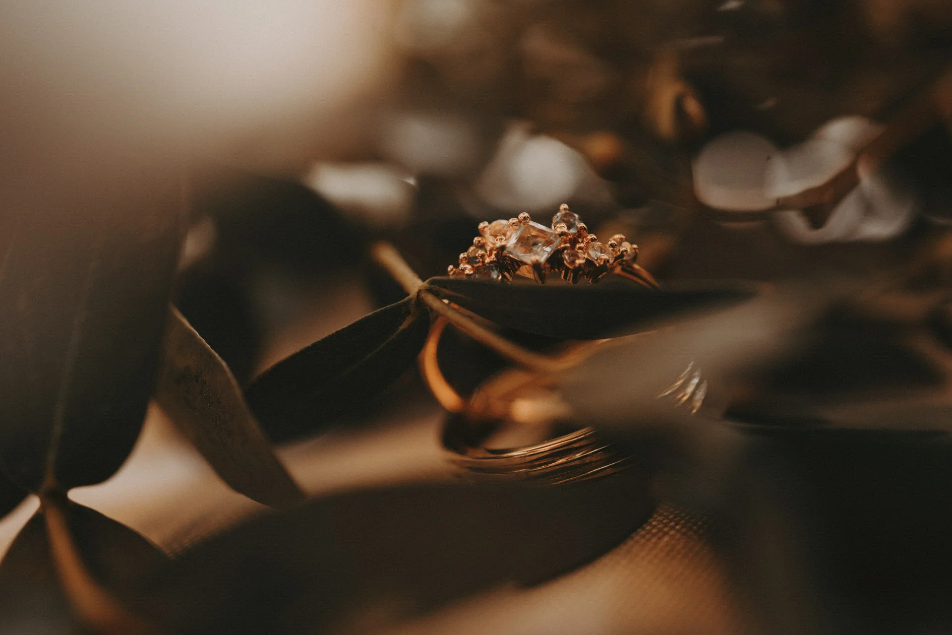 Botanico Wedding-6.jpg