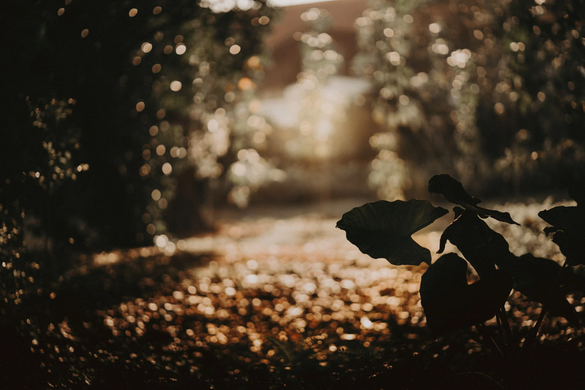 Botanico Wedding-104.jpg