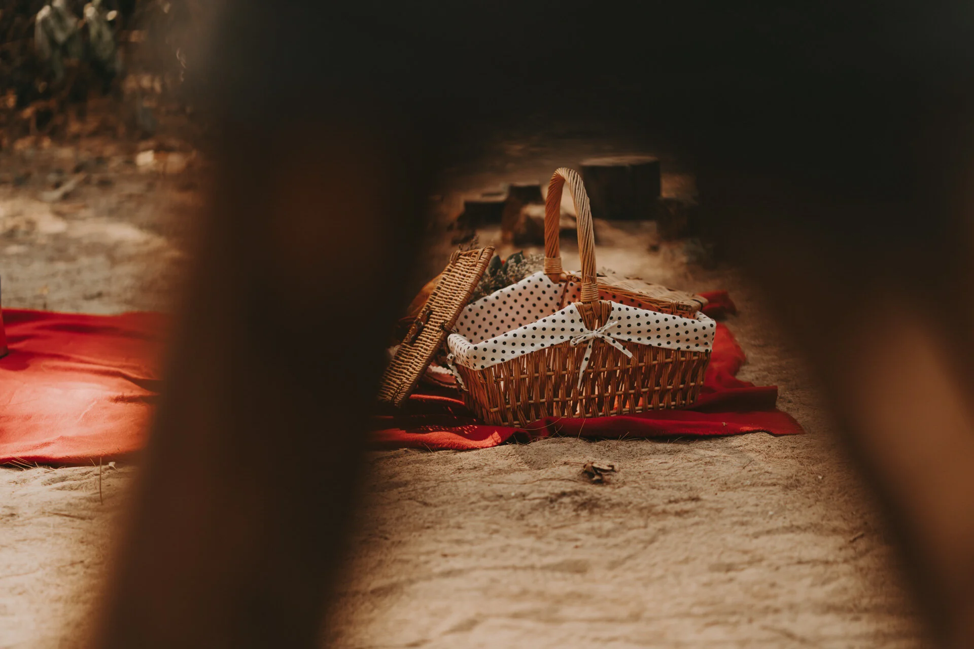 Coney Island Photoshoot-64.jpg