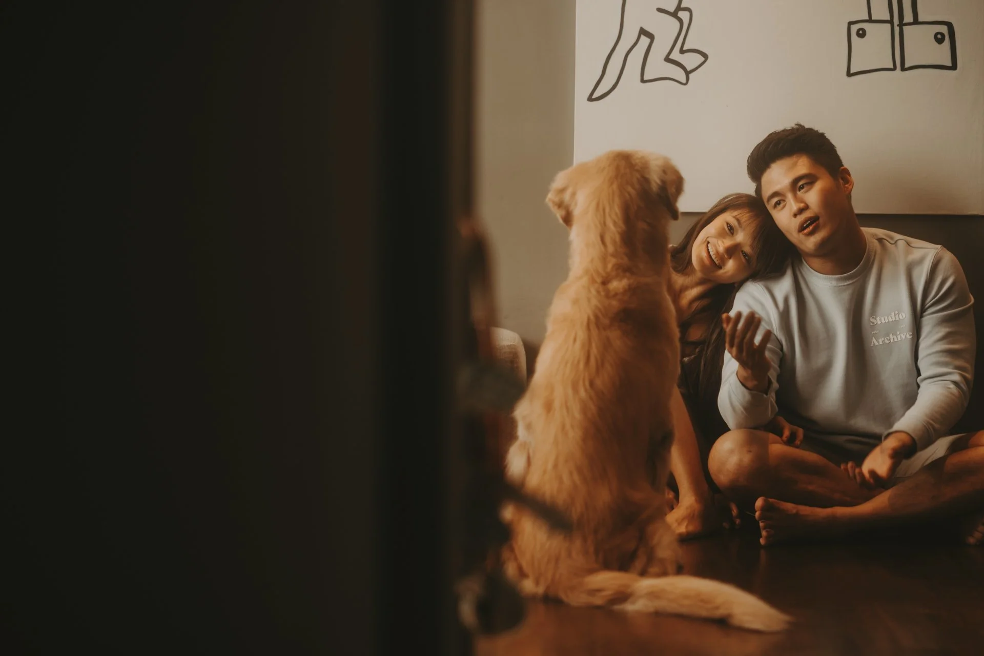 Golden Retriever Shoot15.jpg