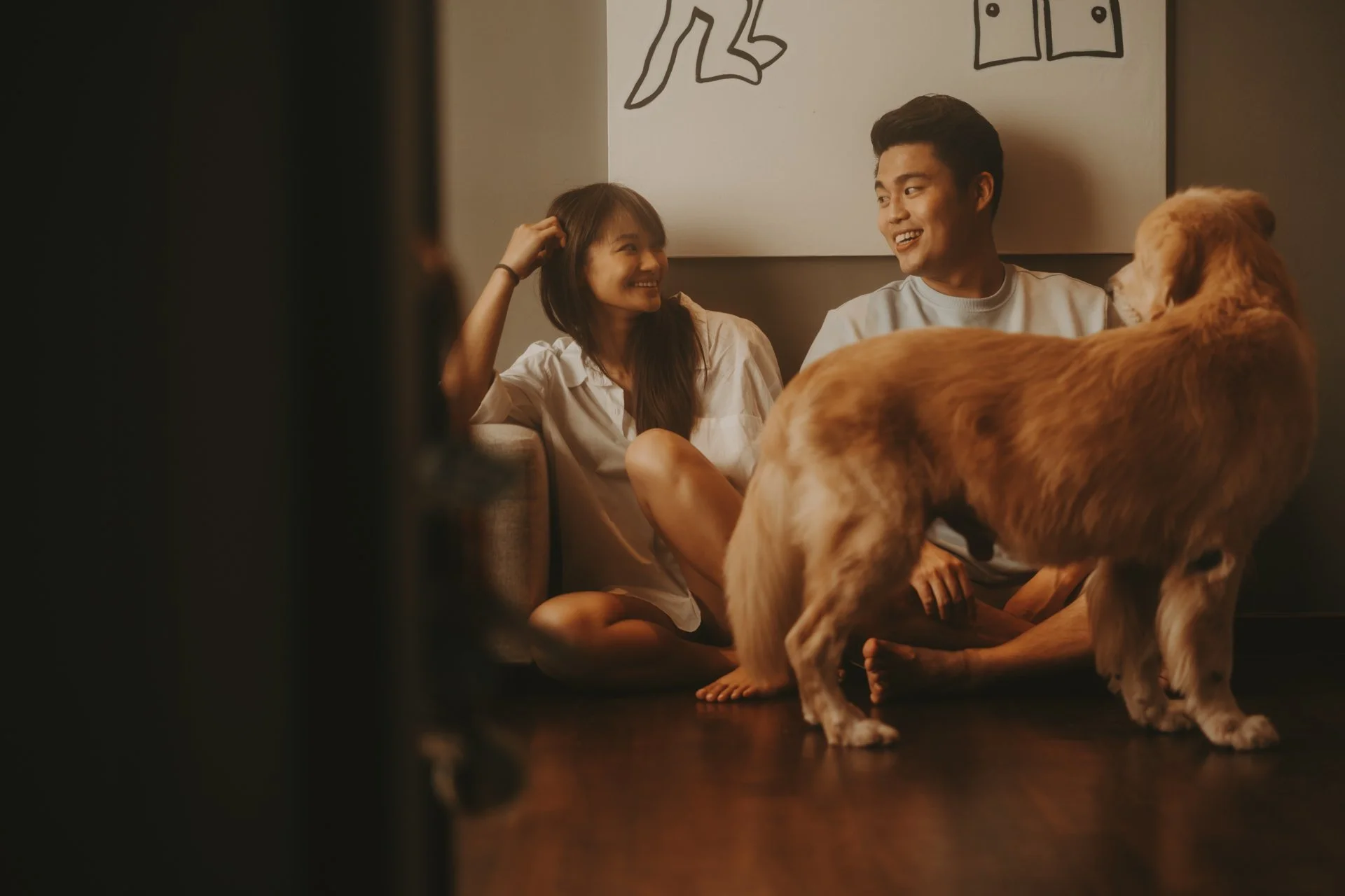 Golden Retriever Shoot16.jpg