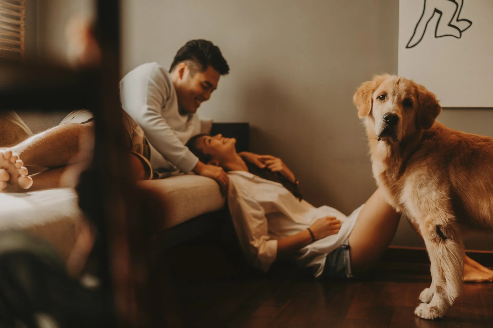 Golden Retriever Shoot21.jpg