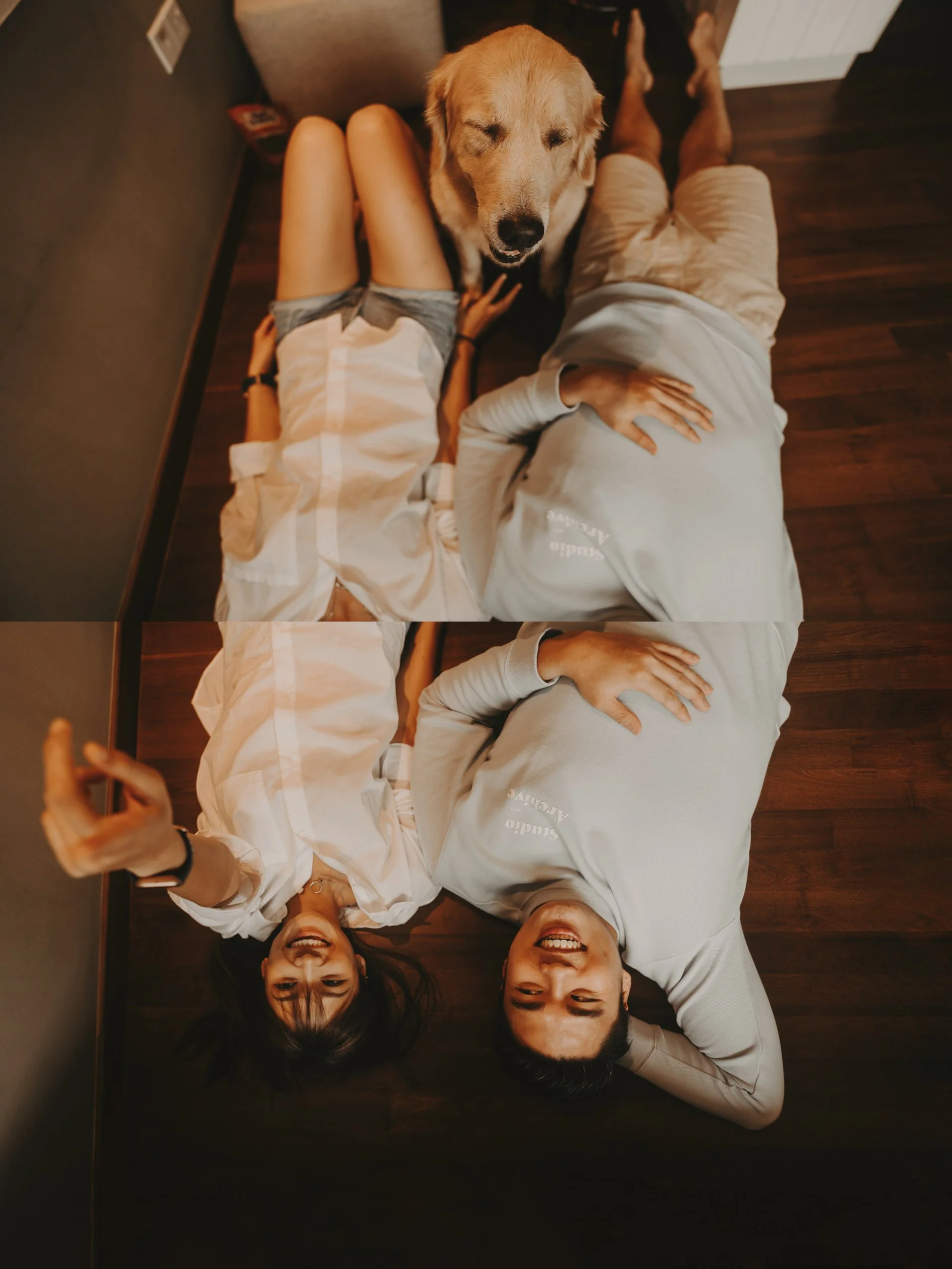 Golden Retriever Shoot23.jpg