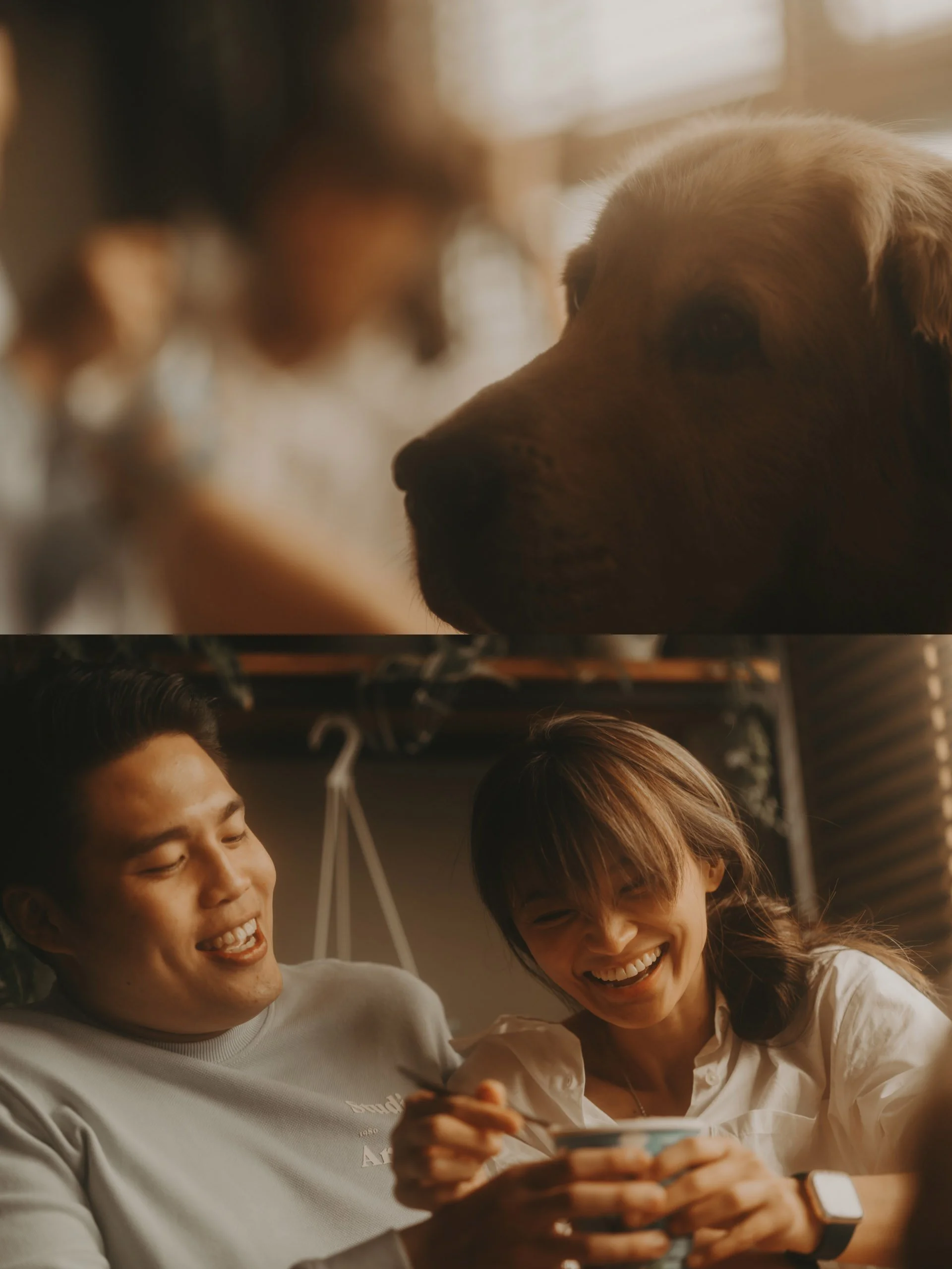 Golden Retriever Shoot29.jpg