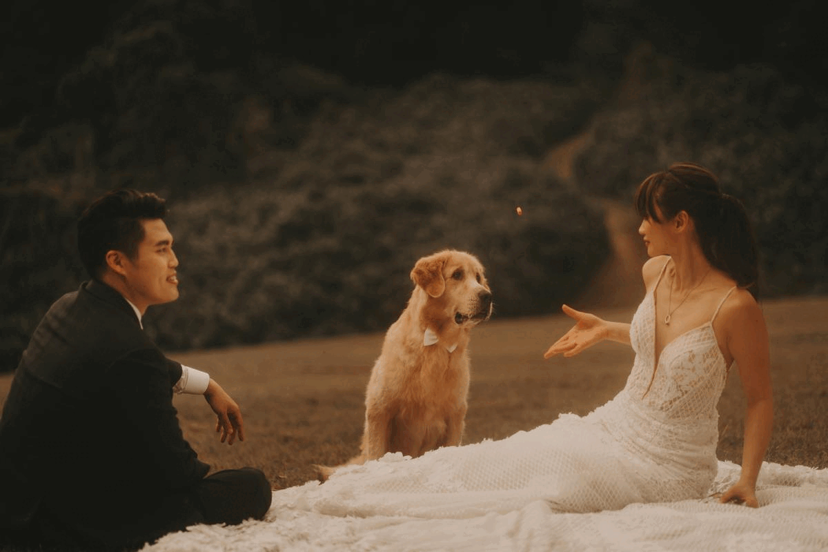 Canterbury Road Photoshoot.gif