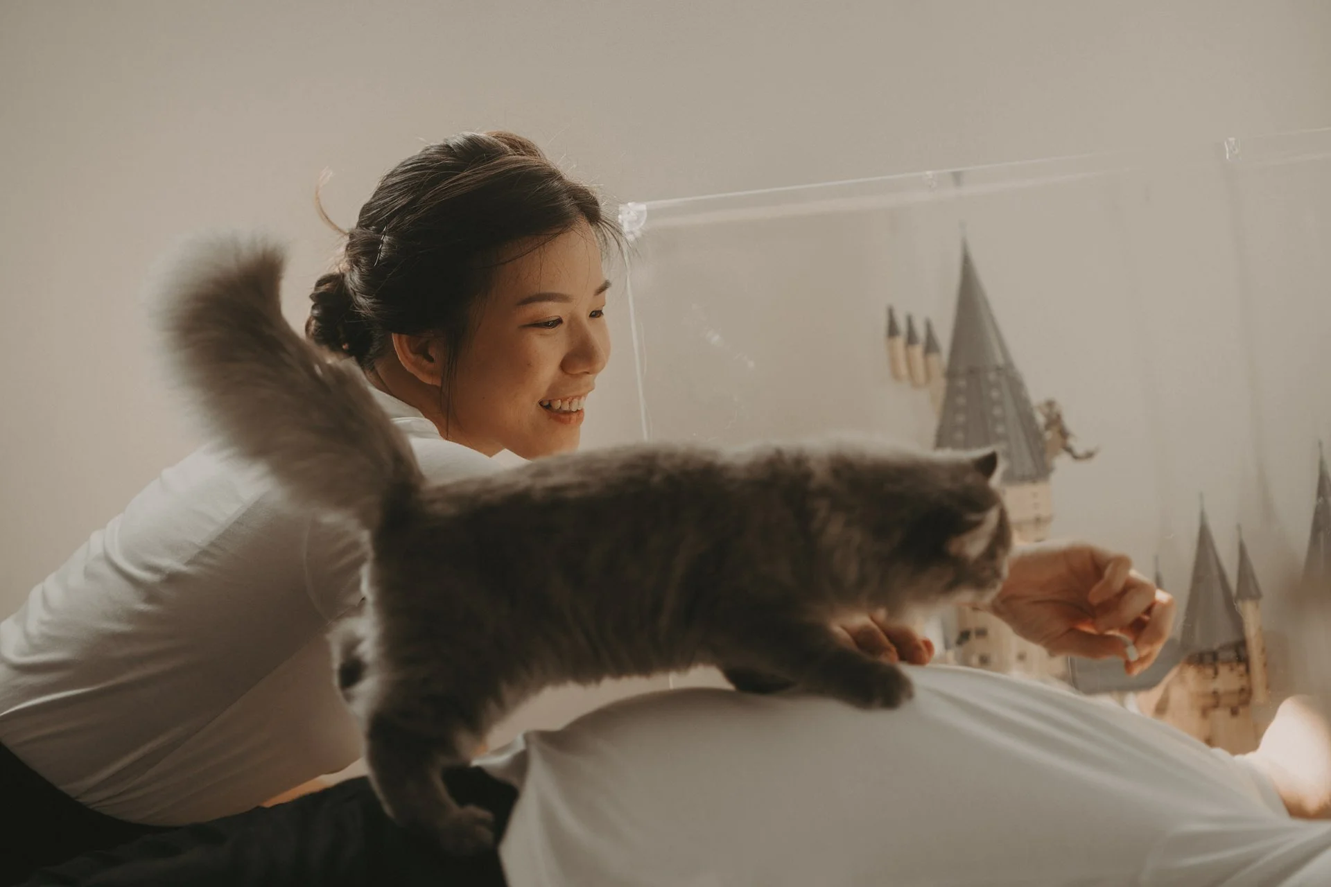 Cats Photoshoot15.jpg