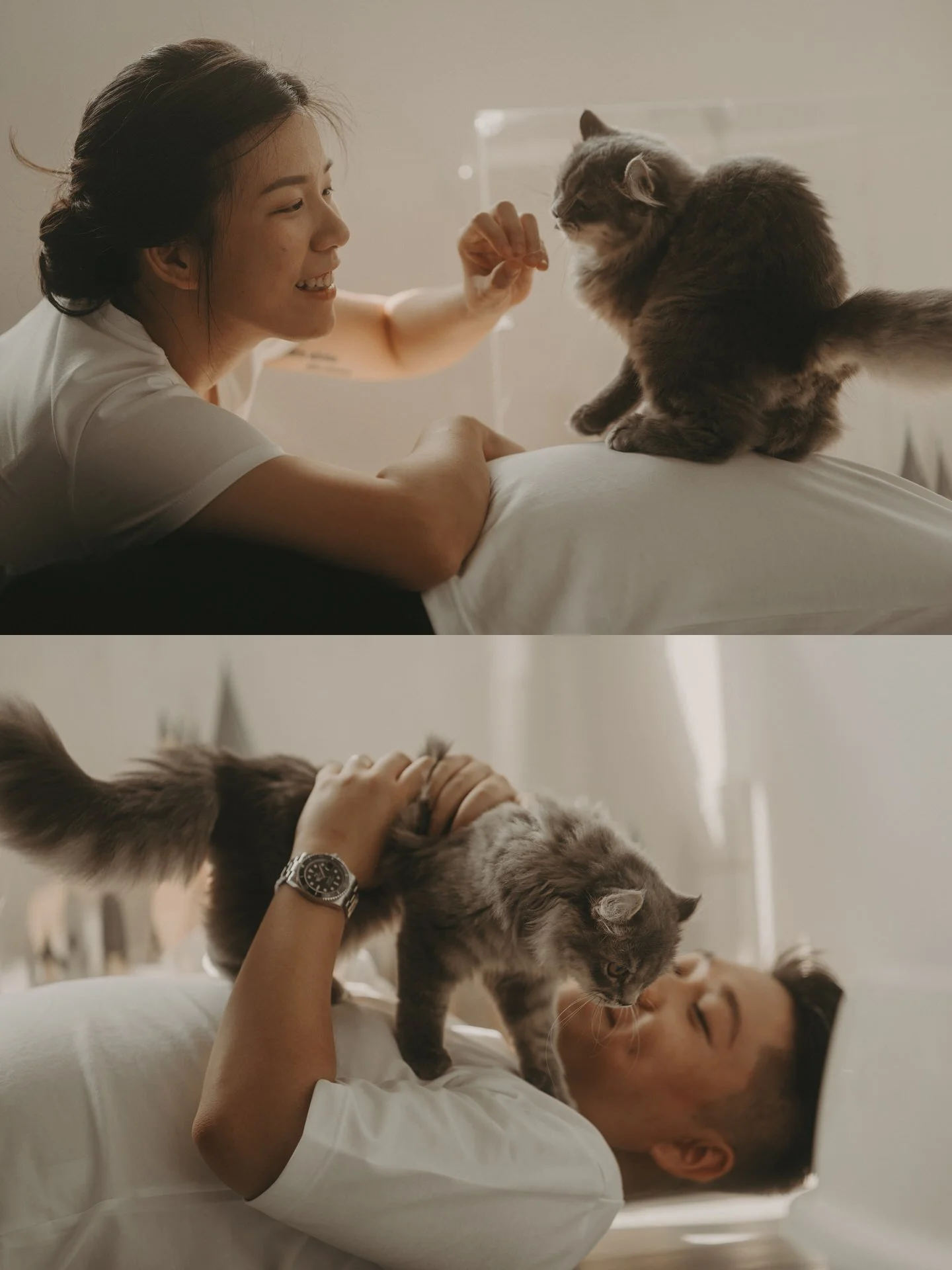 Cats Photoshoot16.jpg