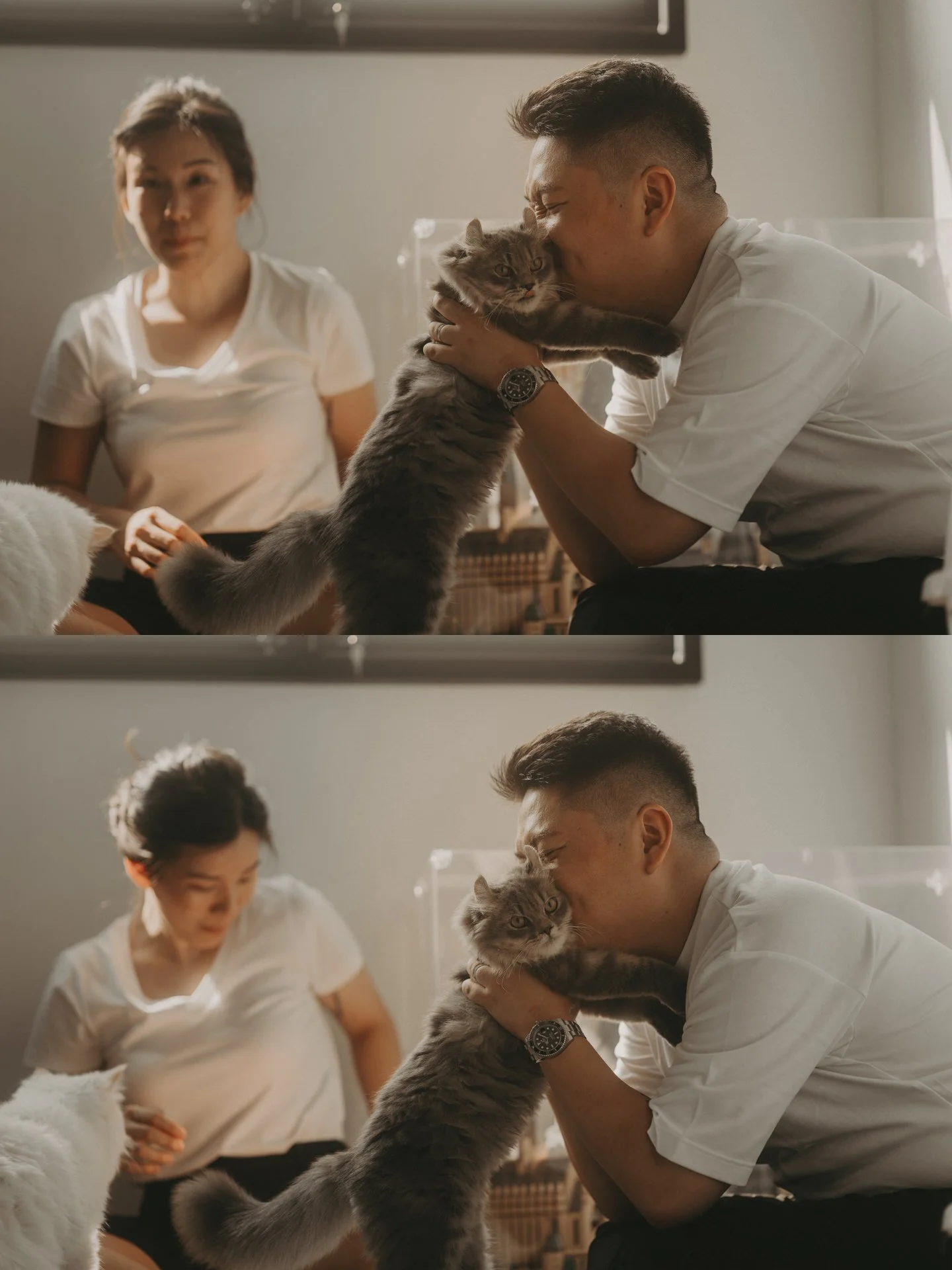 Cats Photoshoot21.jpg