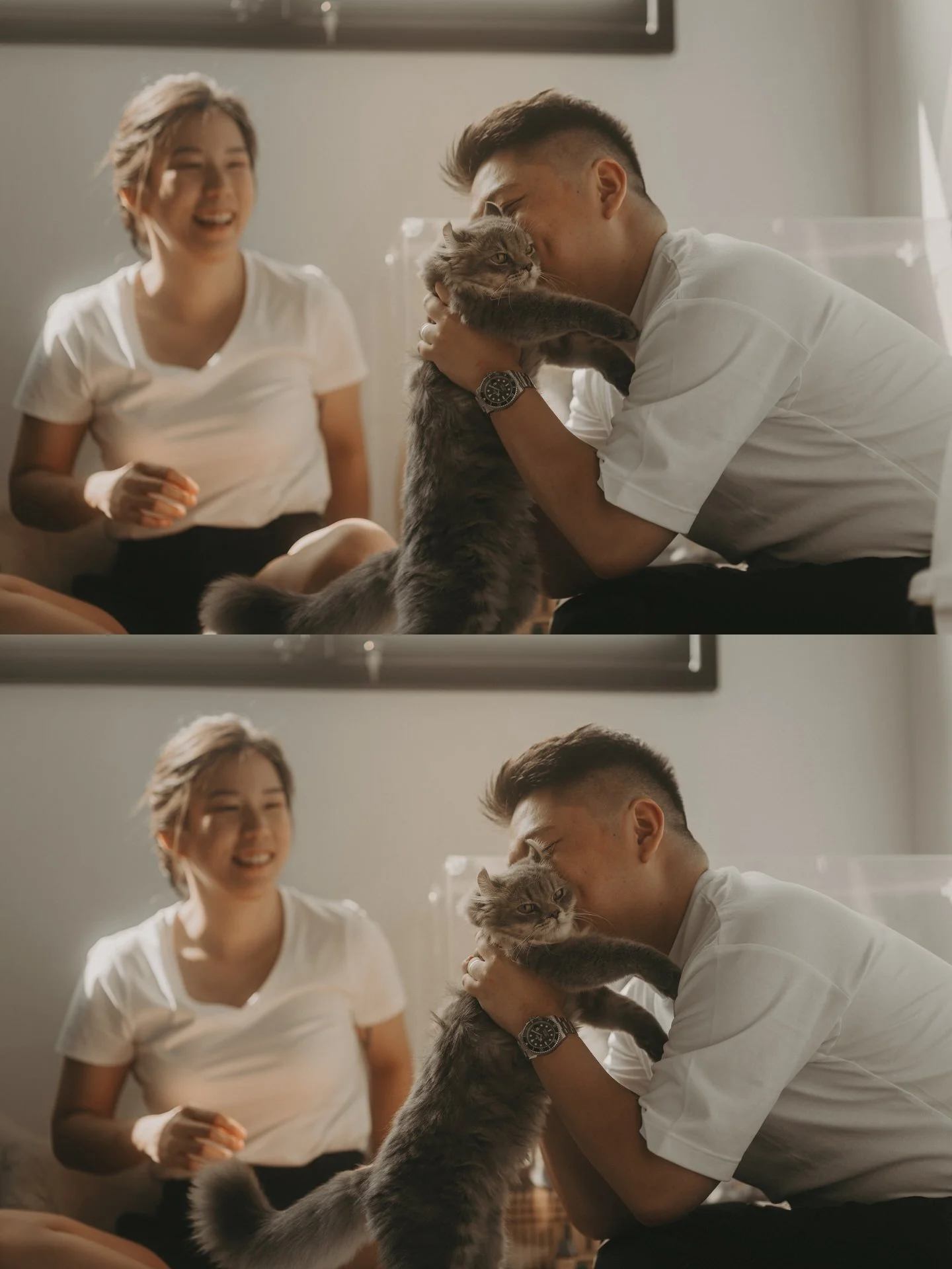 Cats Photoshoot23.jpg