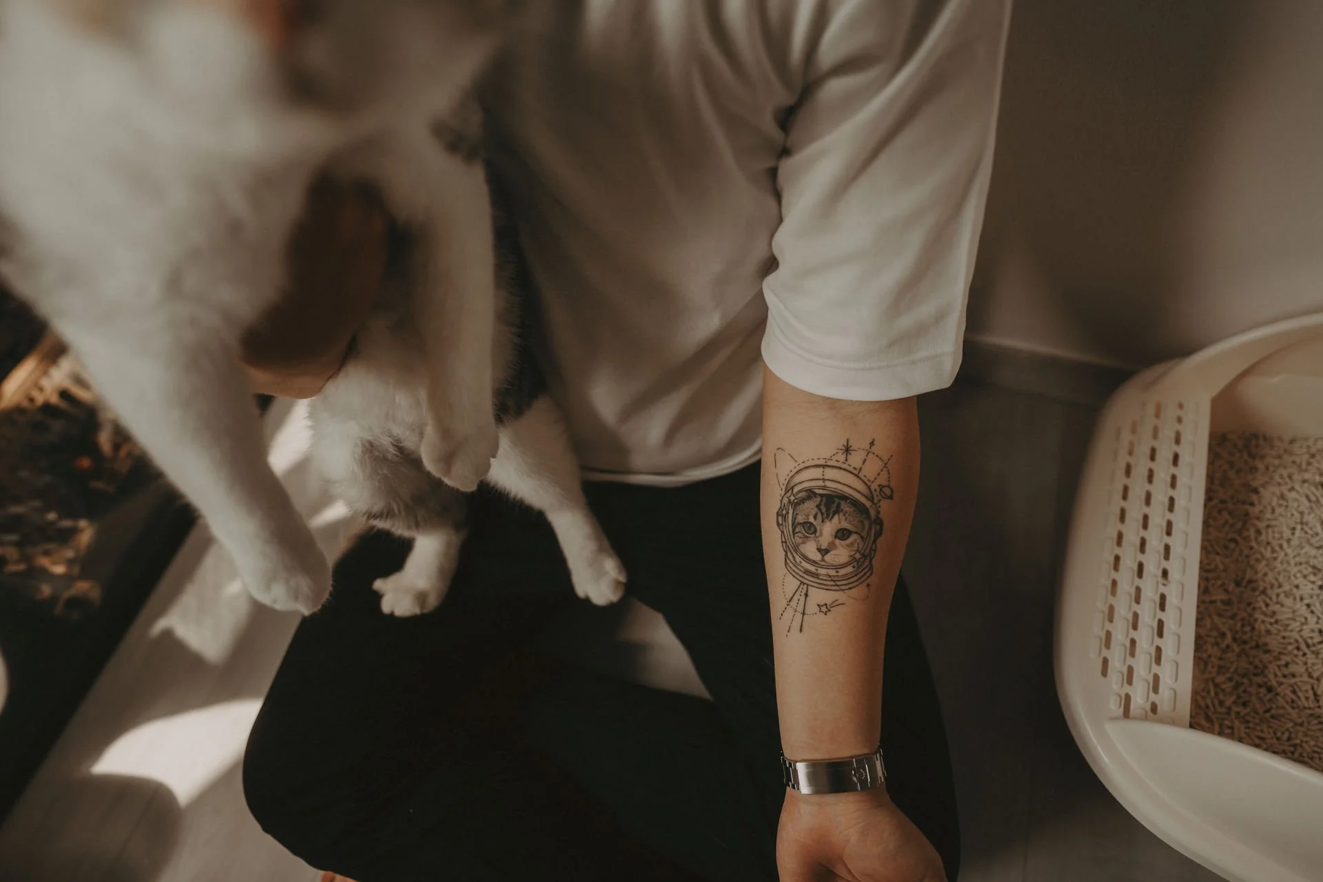 Cats Photoshoot25.jpg