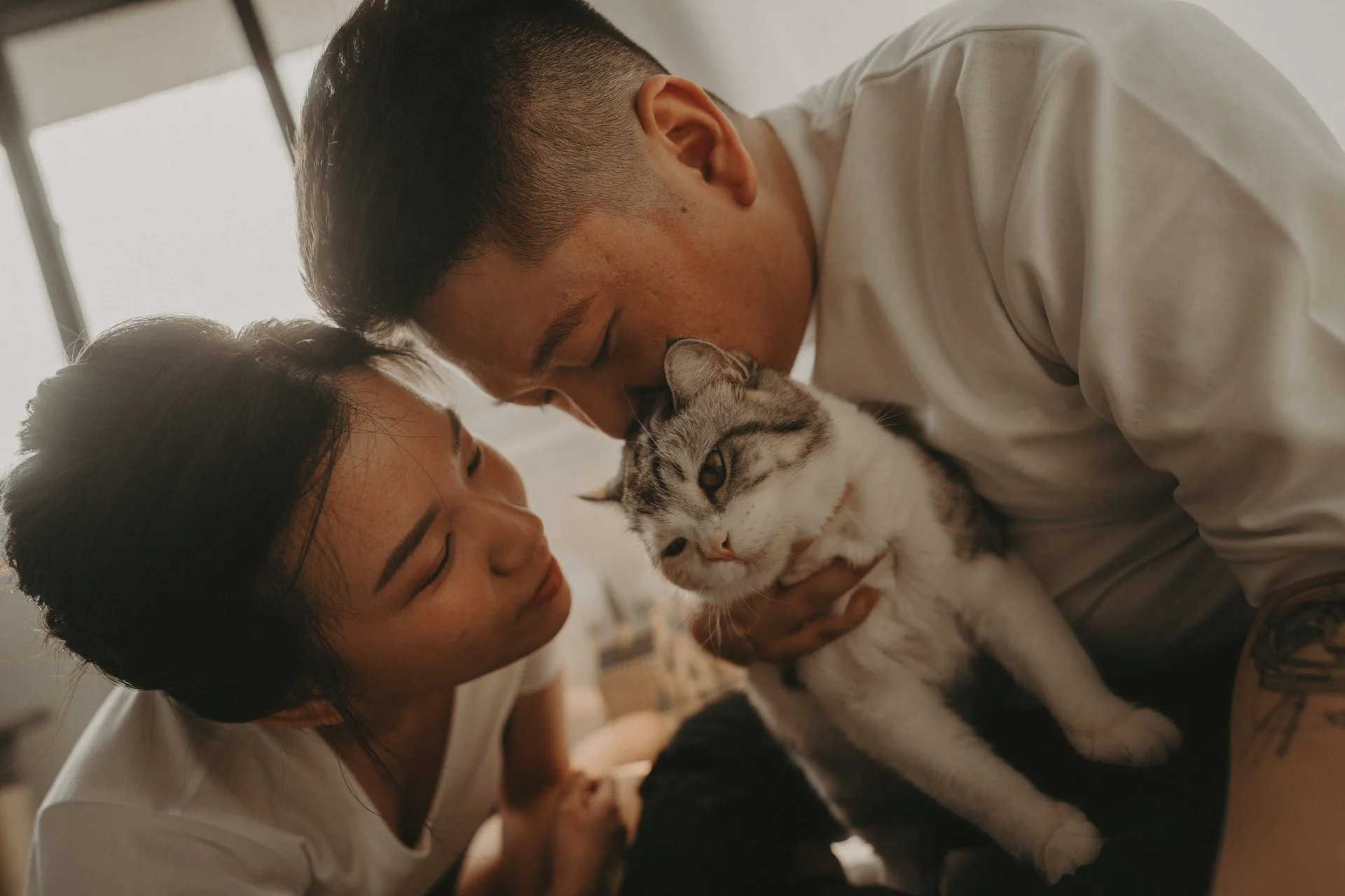 Cats Photoshoot28.jpg