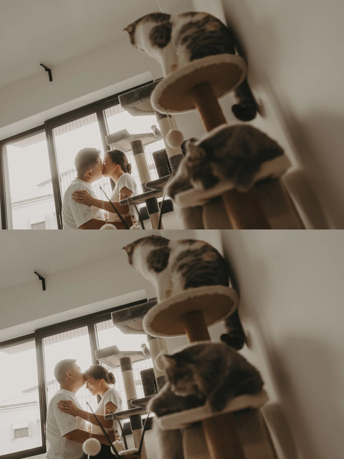 Cats Photoshoot41.jpg