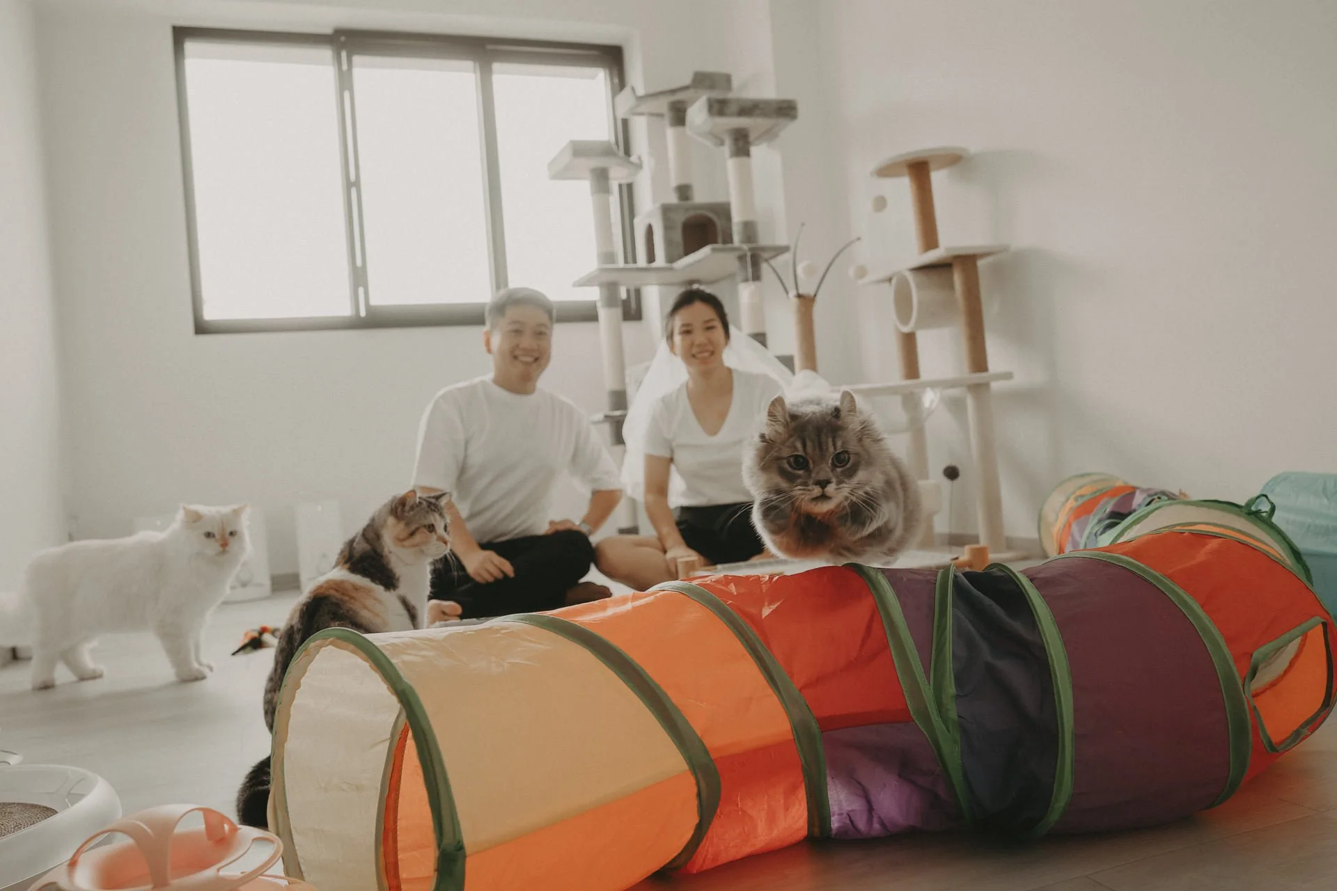 Cats Photoshoot50.jpg