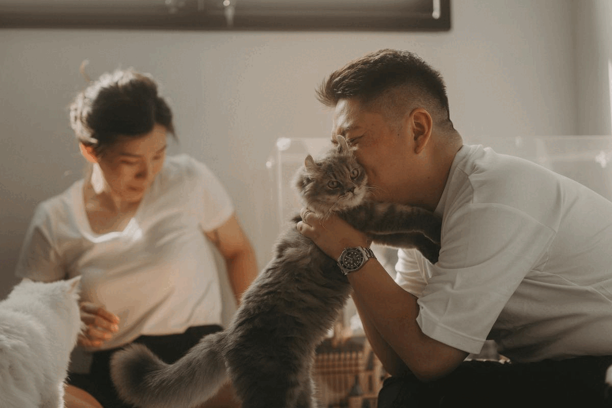 Cats Photoshoot.gif