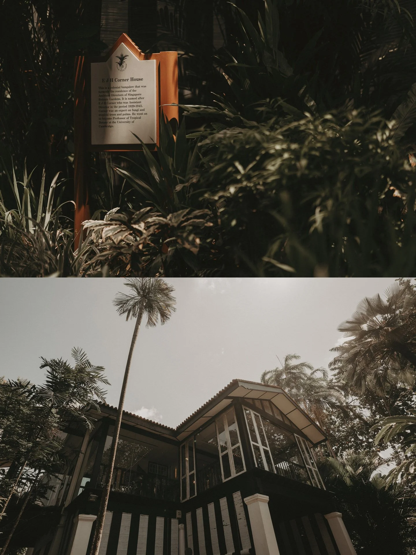 Corner House Wedding1.jpg