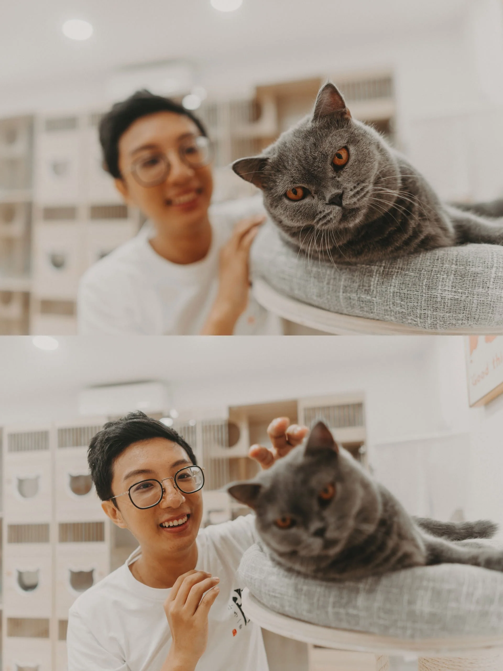 Nekotown Cat Cafe Photoshoot2.jpg