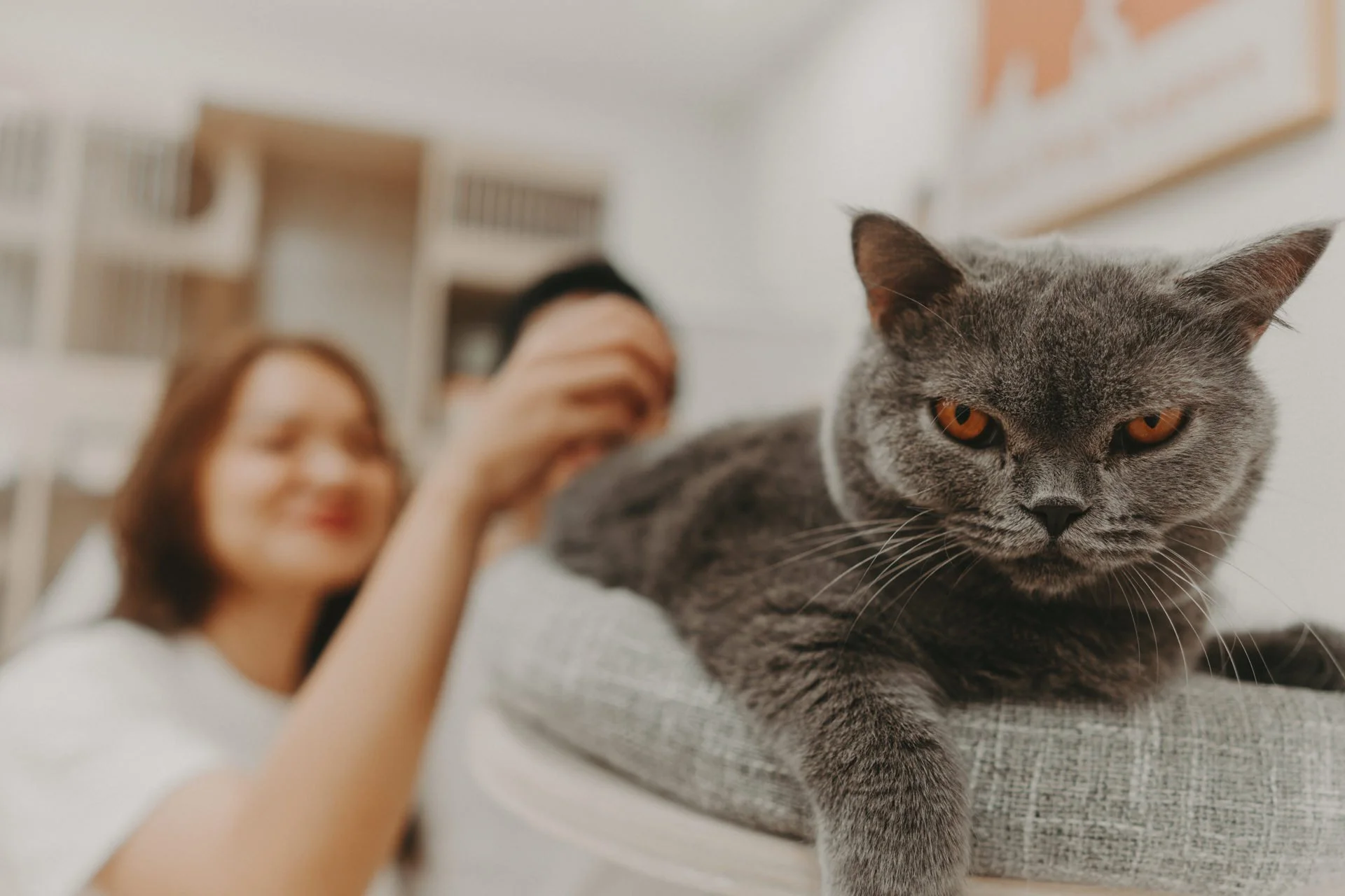 Nekotown Cat Cafe Photoshoot3.jpg