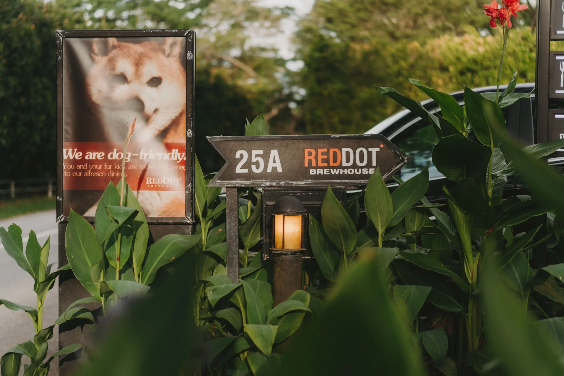 Red Dot Dempsey Wedding1.jpg