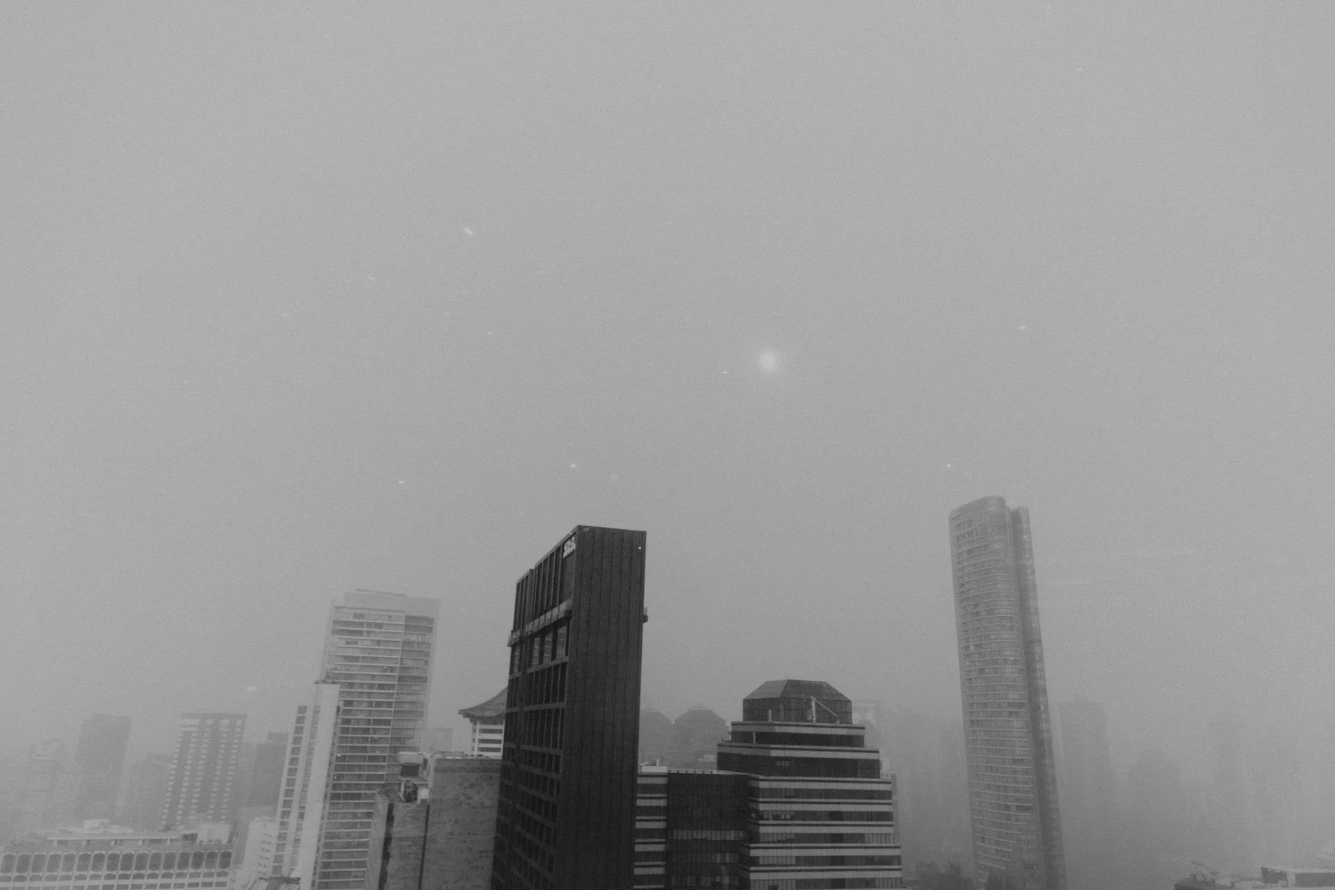 Pan Pacific Orchard Wedding1.jpg