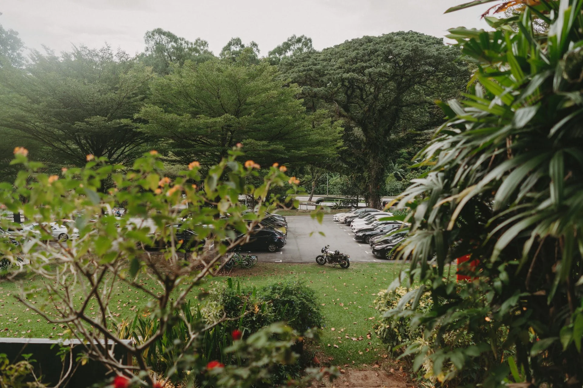 Red Dot Dempsey Wedding3.jpg
