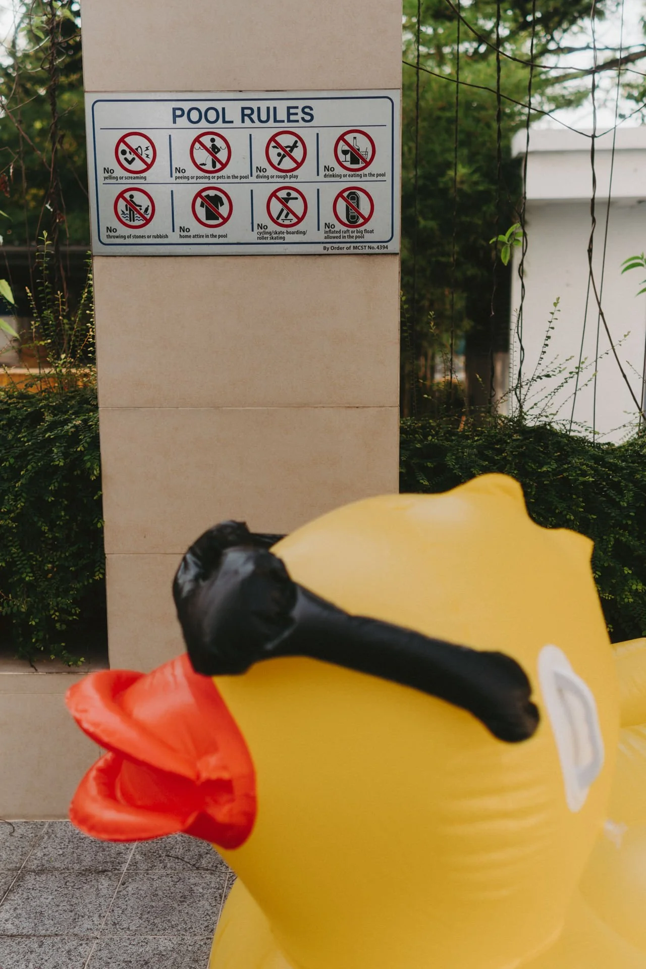 A JH and Chermaine17.jpg