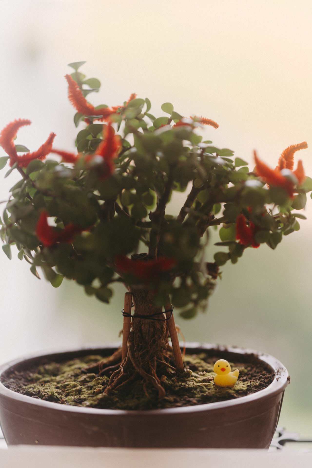 A JH and Chermaine2.jpg